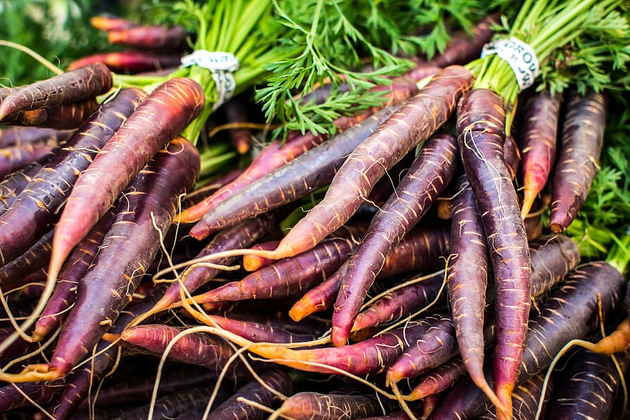 purple carrot benefits